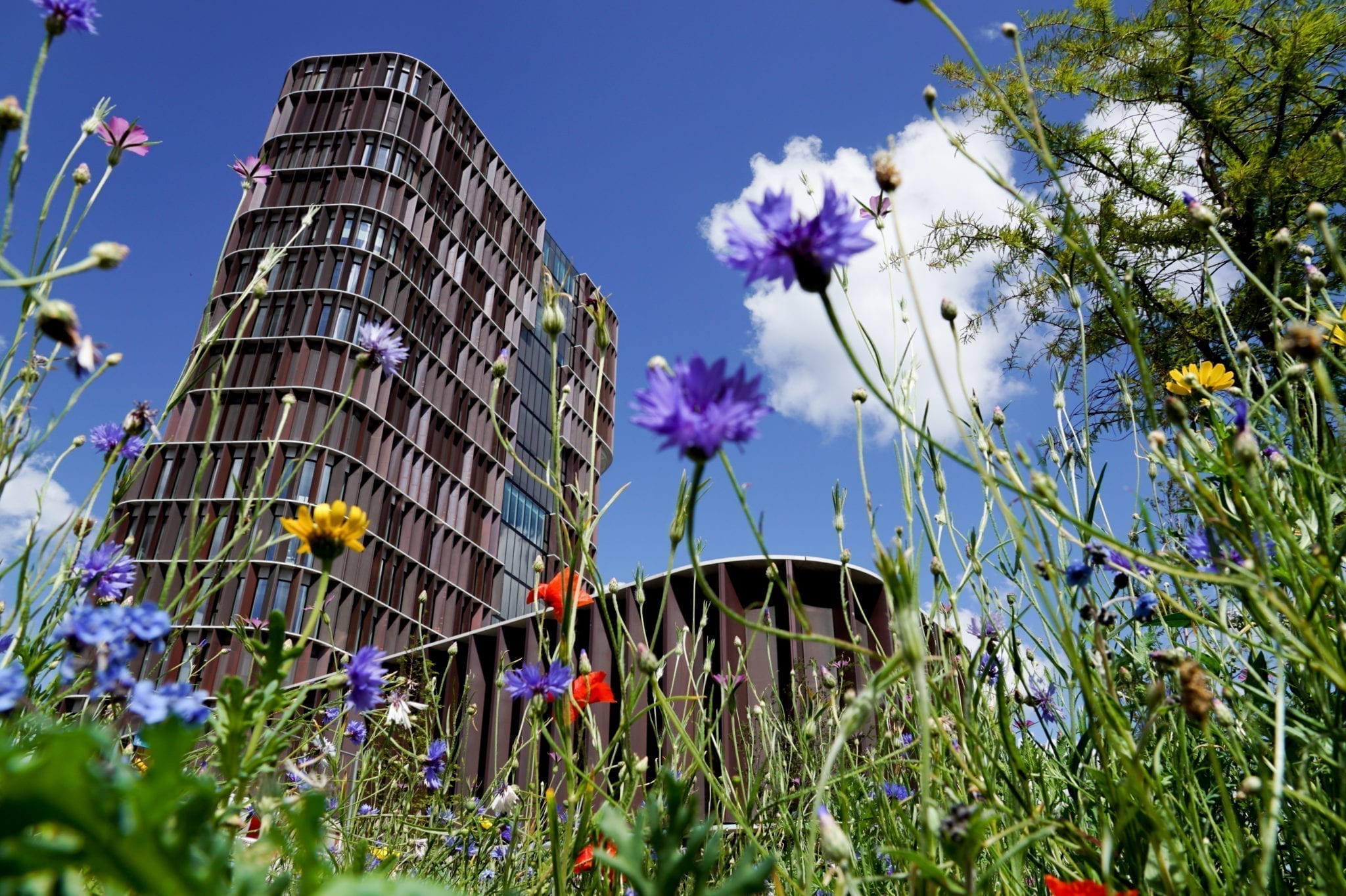 In the Maersk Tower, the Faculty of Health and Medical Sciences conducts frontline research within fields that are central to the future treatment of diseases such as cancer, dementia, diabetes, heart disease and allergies. Photo Credit: Lærke Gade Bjerregaard