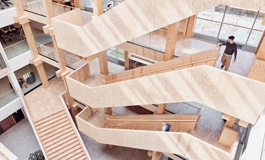 BioInnovation Institute